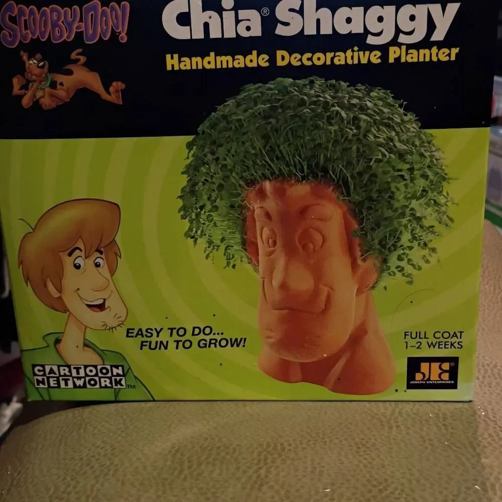 NWT Cartoon Network Scooby Doo Chia Shaggy